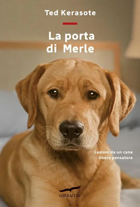 Di Tendenza La porta di Merle. Lezioni da un cane libero pensatore