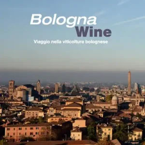 Ultimissimo Modello Bologna wine. Viaggio nella viticoltura bolognese