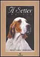 setter inglese Compra Oggi Stesso
