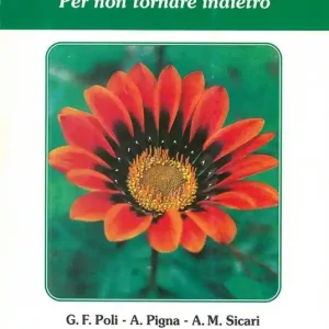 La vita consacrata. Per non tornare indietro Consegna Rapida