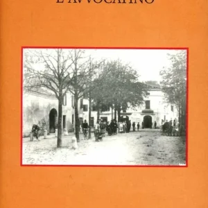 Direttamente Dal Produttore L‘avvocatino
