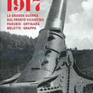 1917 la grande guerra sul fronte vicentino. Pasubio, Ortigara, Melette, Grappa. Con videocassetta Non Perdere
