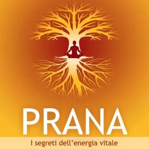 Prana. I segreti dell‘energia vitale Prezzo Scontato