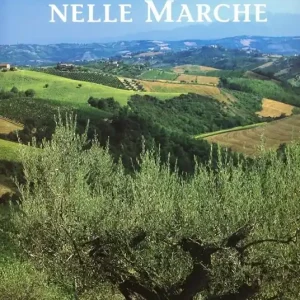 Olivo e olio nelle Marche Soddisfatti O Rimborsati