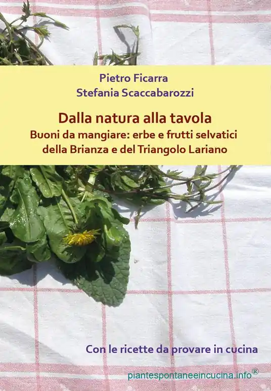 Dalla natura alla tavola. Buoni da mangiare erbe e frutti selvatici della Brianza e del Triangolo Lariano Spedito Oggi