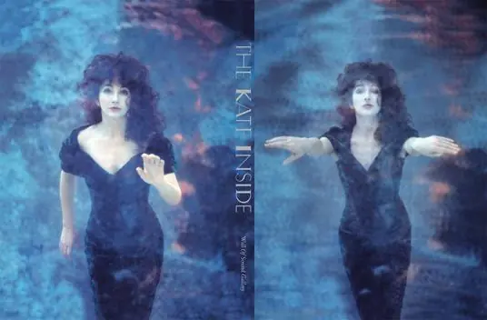 Kate Bush. The Kate Inside. Collector edition limited edition Direttamente Dal Produttore