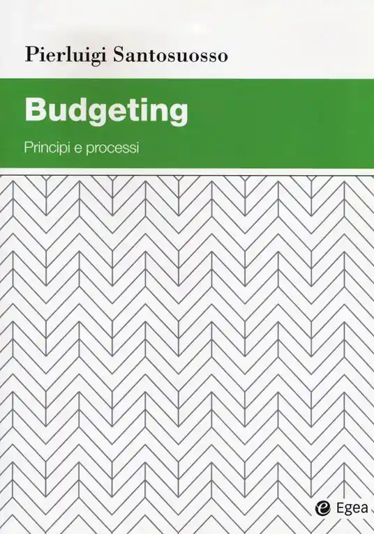 Budgeting. Principi e processi Spedito Oggi