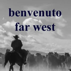 Consegna Rapida Benvenuto Far West. Riflessioni sulle arti marziali e la difesa personale oggi