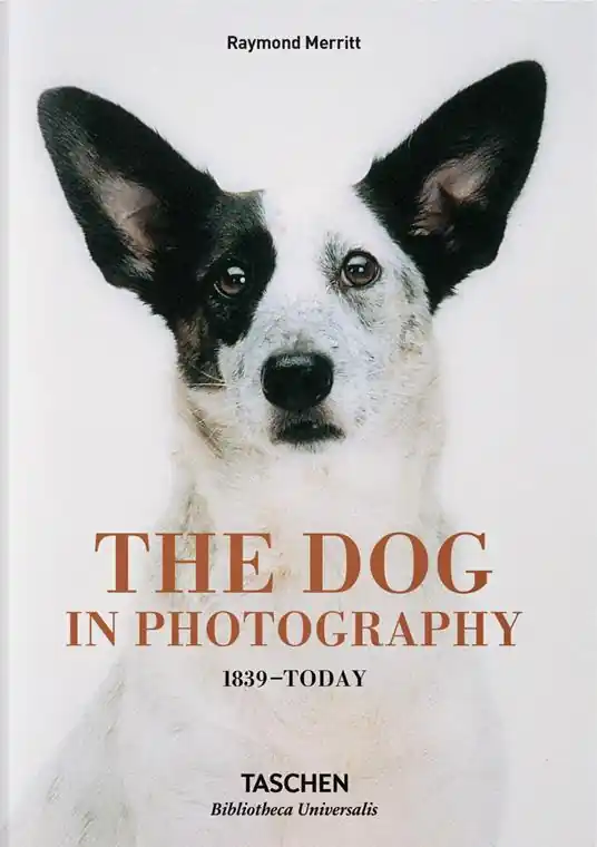 The dog in photography 1839-today. Ediz. inglese, francese e tedesca Affare