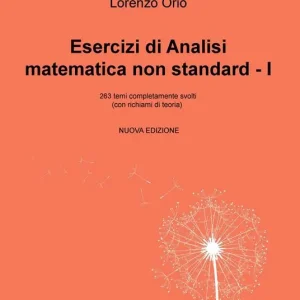 Solo Oggi Esercizi di analisi matematica non standard I. 263 temi completamente svolti (con richiami di teoria). Nuova ediz.