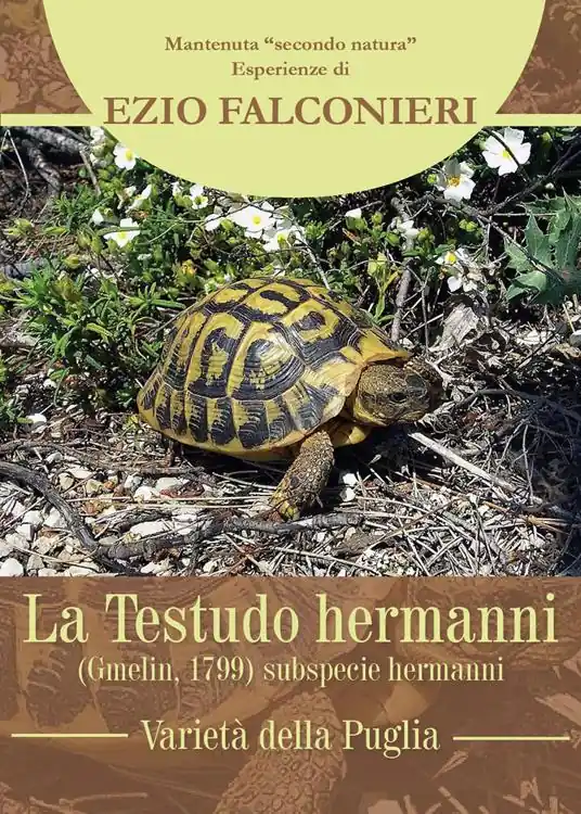 La Testudo hermanni. Varietà di Puglia Reso Gratuito