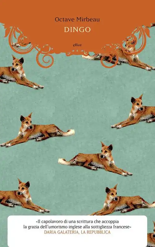Offerta Dingo
