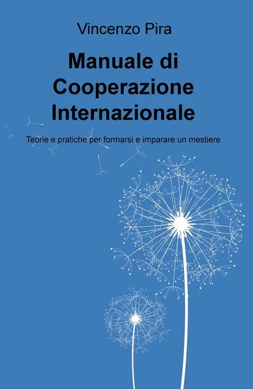 Manuale di cooperazione Internazionale. Teorie e pratiche per formarsi e imparare un mestiere A Buon Prezzo