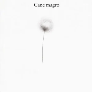 Quantità Limitata Cane magro