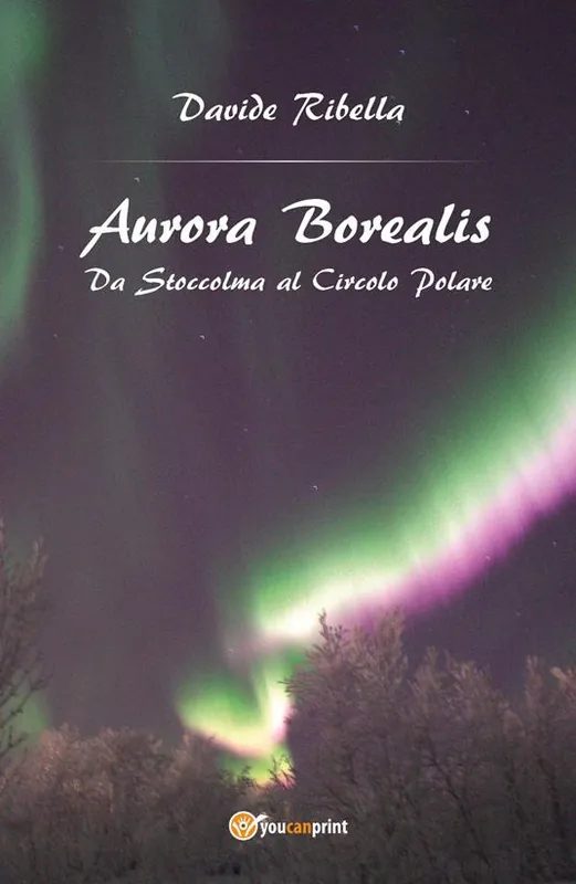 Super Prezzo Aurora borealis. Da Stoccolma al circolo polare