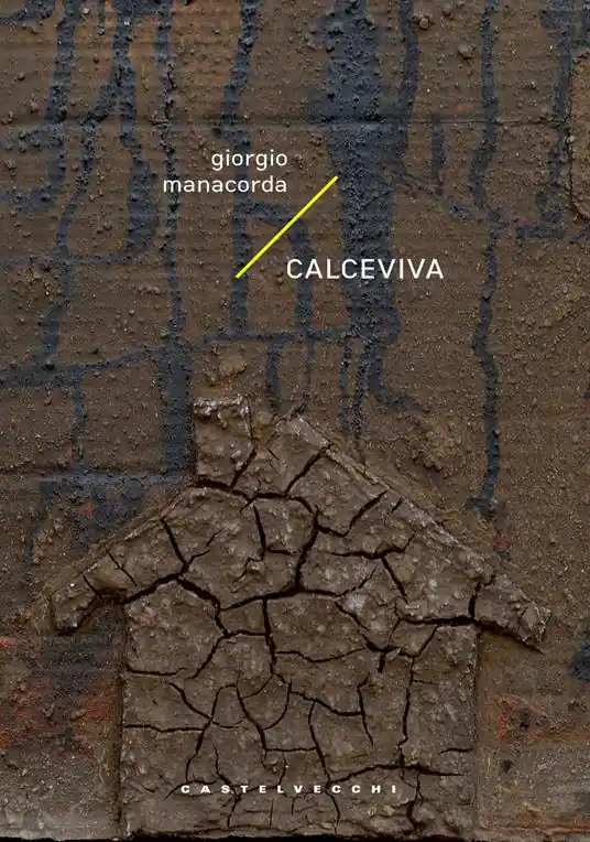Calceviva A Buon Prezzo