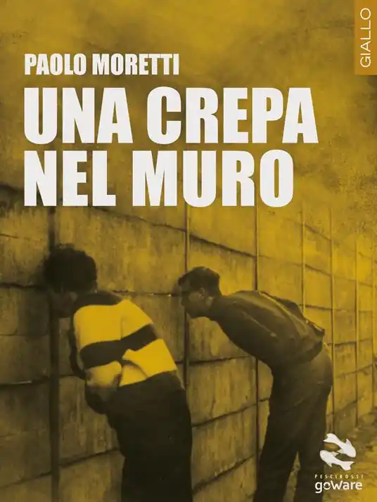 Saldi Una crepa nel muro