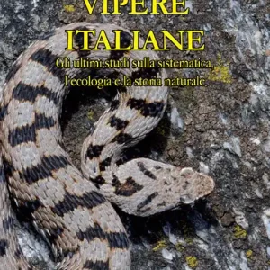 Vipere Italiane. Gli ultimi studi sulla sistematica, l’ecologia e la storia naturale. Ediz. illustrata A Buon Prezzo