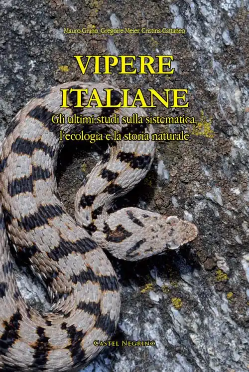 Vipere Italiane. Gli ultimi studi sulla sistematica, l’ecologia e la storia naturale. Ediz. illustrata A Buon Prezzo