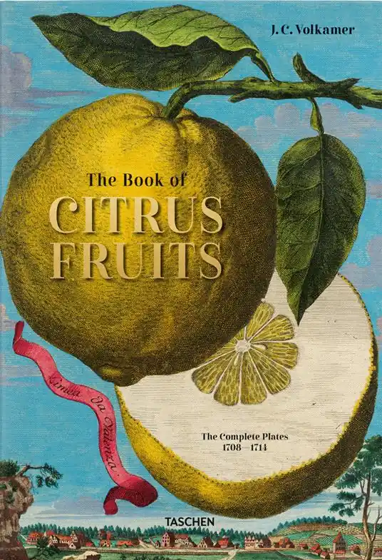 Di Tendenza J. C. Volkamer. The Book of Citrus Fruits. Ediz. inglese, francese, tedesca