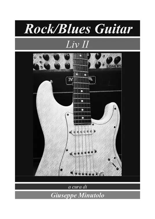 Occasione Rock/blues guitar. Liv II