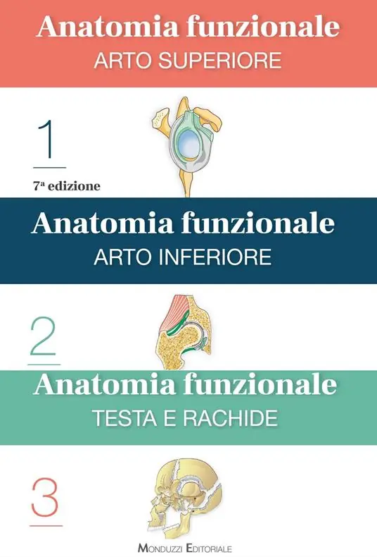 Anatomia funzionale Bestseller