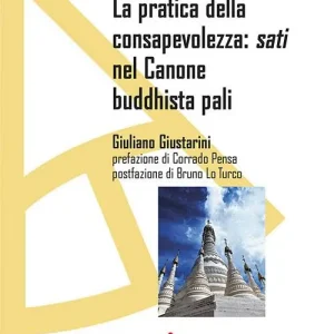 Professionale La pratica della consapevolezza sati nel Canone buddhista pali