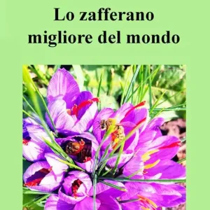 Lo zafferano migliore del mondo. Parola di chef Remy Promo Stagionale