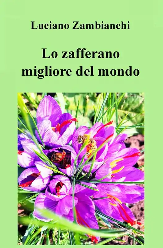 Lo zafferano migliore del mondo. Parola di chef Remy Promo Stagionale