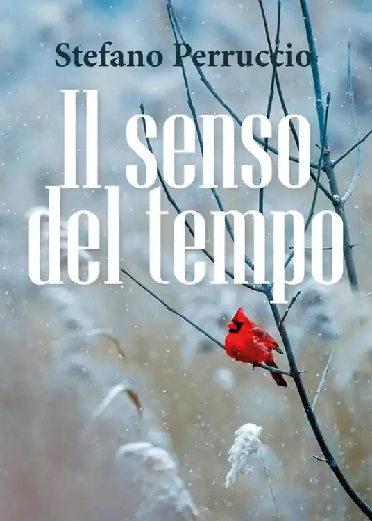 Subito Disponibile Il senso del tempo