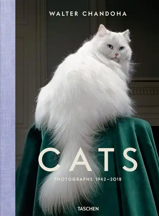 Walter Chandoha. Cats. Photographs 1942–2018. Ediz. inglese, francese e tedesca Promo Stagionale