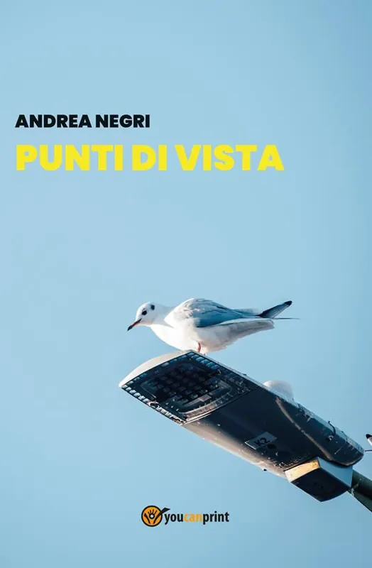 Nuova Collezione Punti di vista