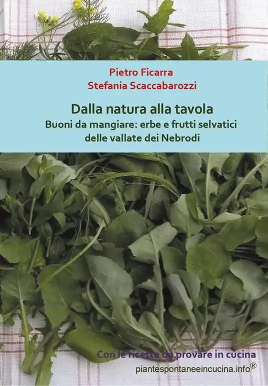 Dalla natura alla tavola. Buoni da mangiare erbe e frutti selvatici delle vallate dei Nebrodi Occasione Imperdibile