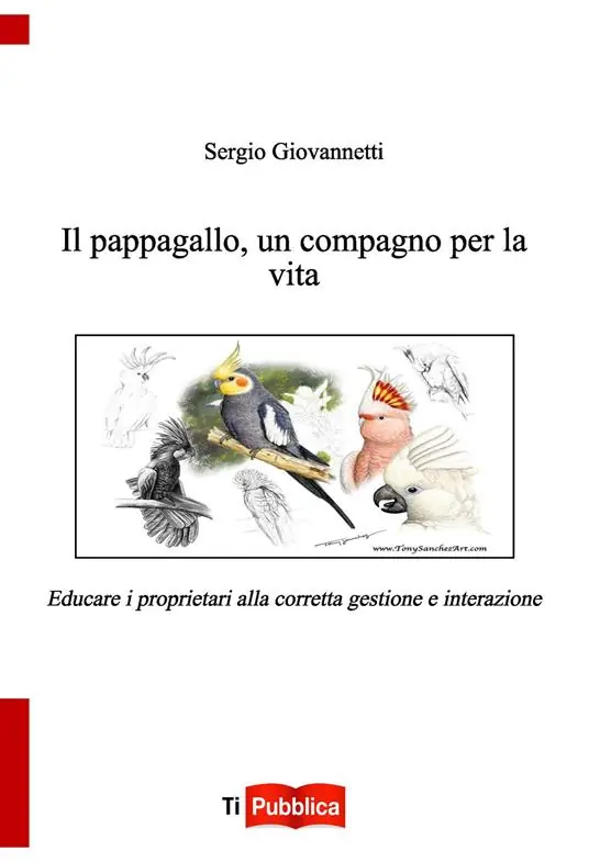 Il pappagallo, un compagno per la vita Subito Disponibile