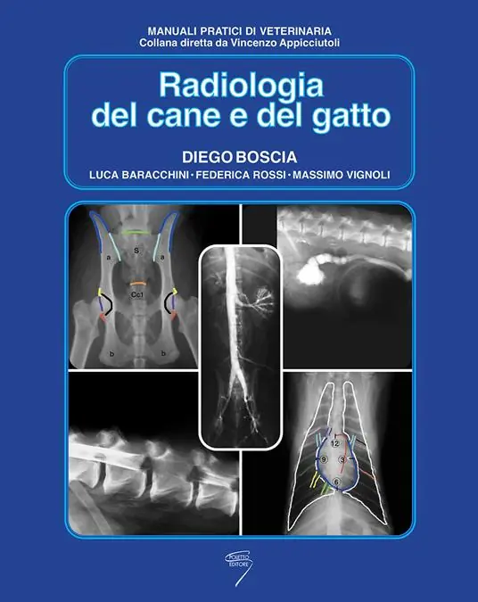Occasione Imperdibile Radiologia del cane e del gatto