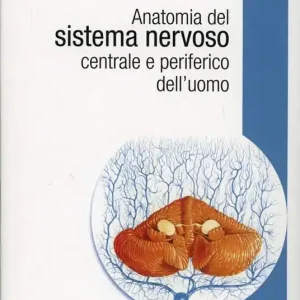 Anatomia del sistema nervoso centrale e periferico dell‘uomo Novità