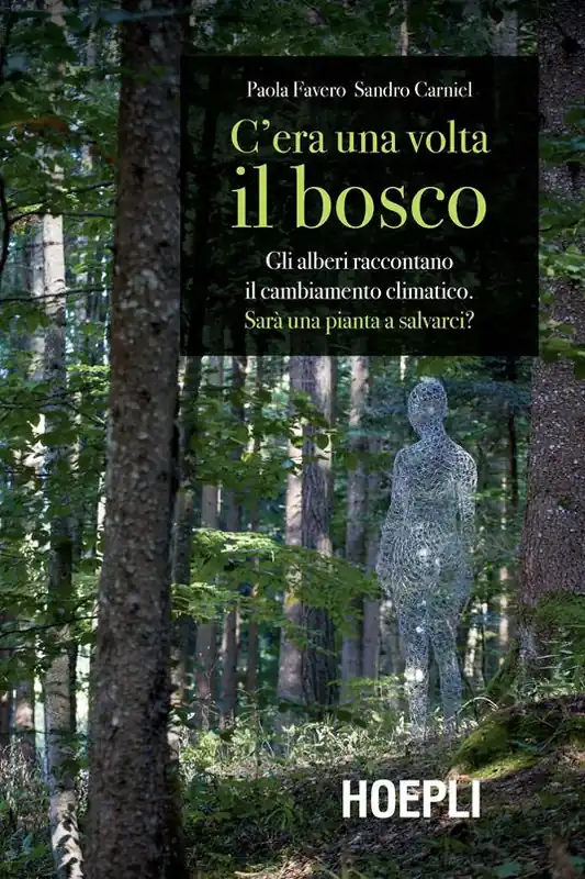 C‘era una volta il bosco. Gli alberi raccontano il cambiamento climatico sarà una pianta a salvarci? Miglior Prezzo
