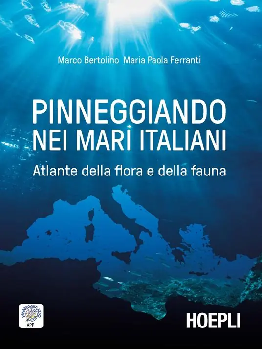 Pinneggiando nei mari italiani. Atlante della flora e della fauna Prezzo Di Fabbrica
