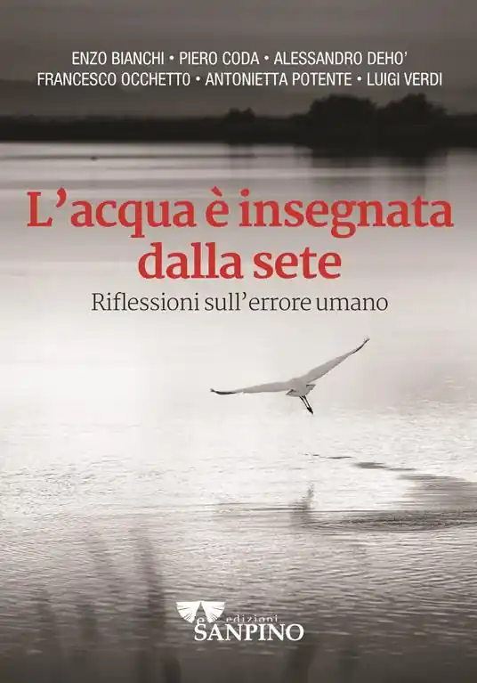 L‘acqua è insegnata dalla sete. Riflessioni sull‘errore umano Offerta