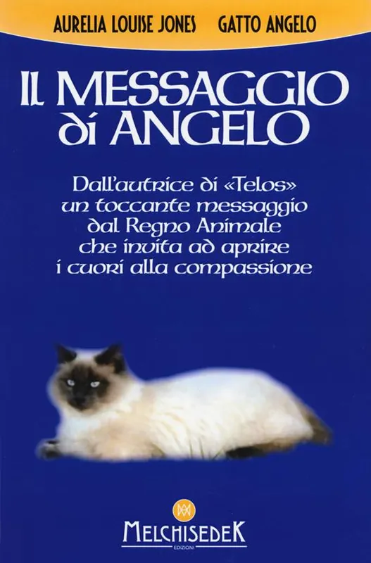 Non Perdere Il messaggio di Angelo