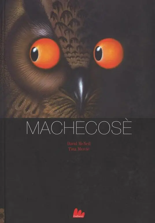 Spedizione Espresso Machecosè. Ediz. a colori