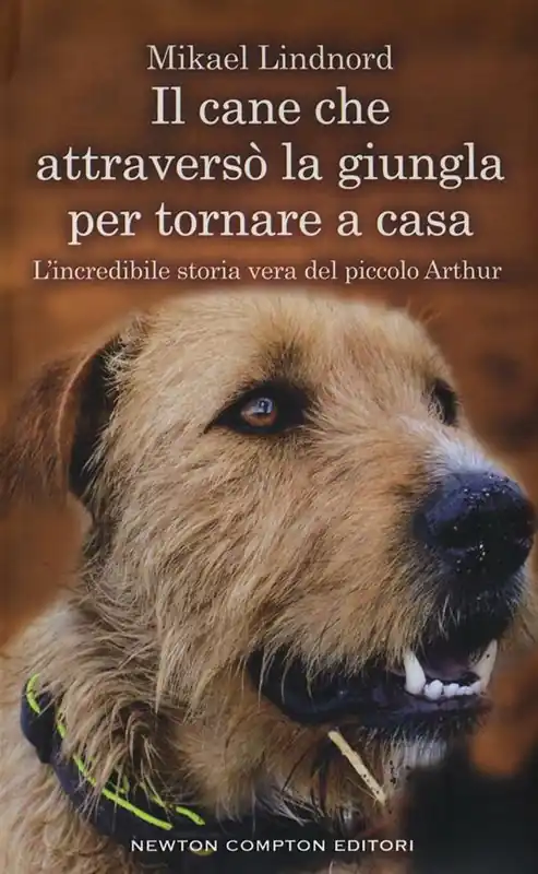 Novità Il cane che attraversò la giungla per tornare a casa. L‘incredibile storia vera del piccolo Arthur
