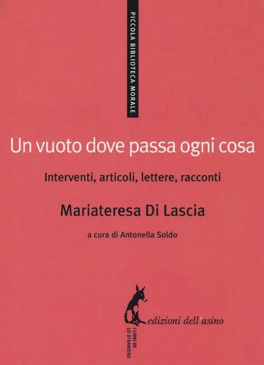 Un vuoto dove passa ogni cosa. Interventi, articoli, lettere, racconti Affare