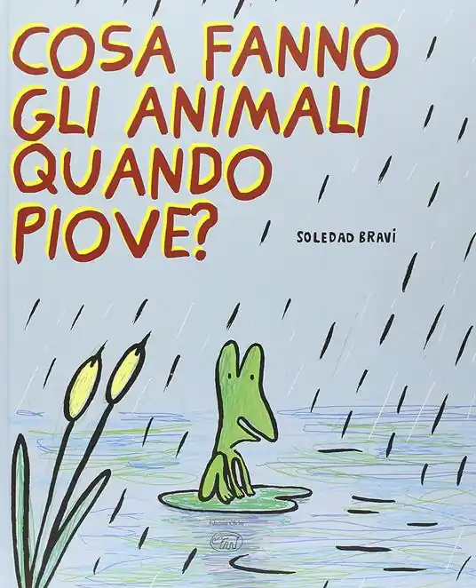 Cosa fanno gli animali quando piove? Ediz. illustrata Sconto