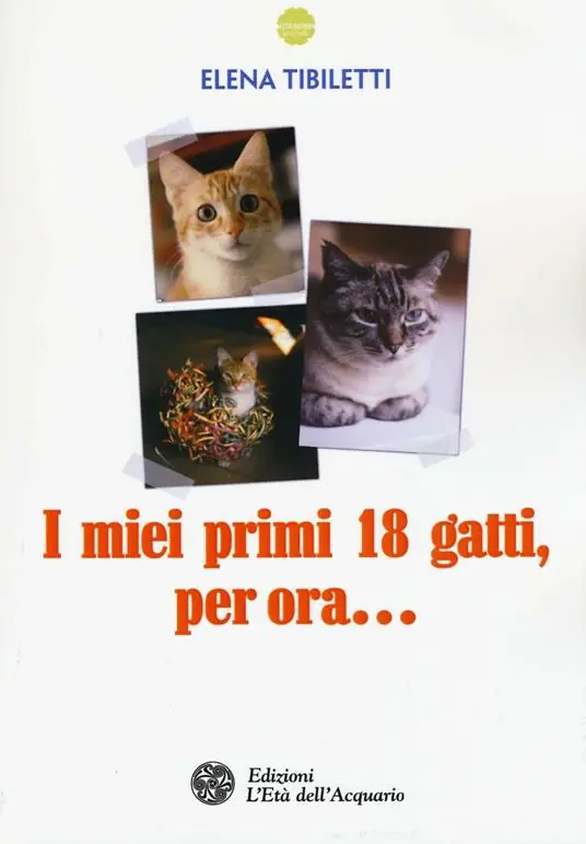 I miei primi 18 gatti, per ora... Offerta