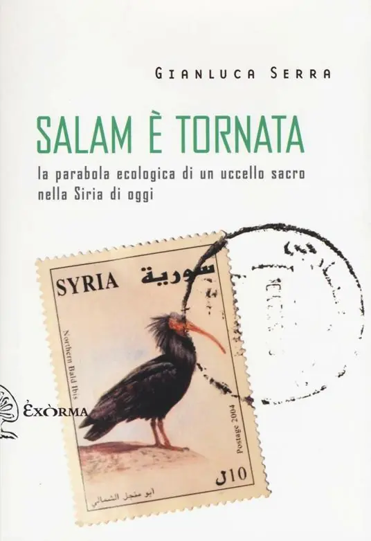 Salam è tornata. La parabola ecologica di un uccello sacro nella Siria di oggi Acquista Ora