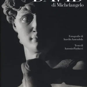 Subito Disponibile Il David di Michelangelo. Ediz. illustrata