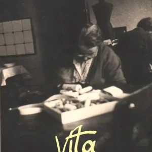 Vita Professionale
